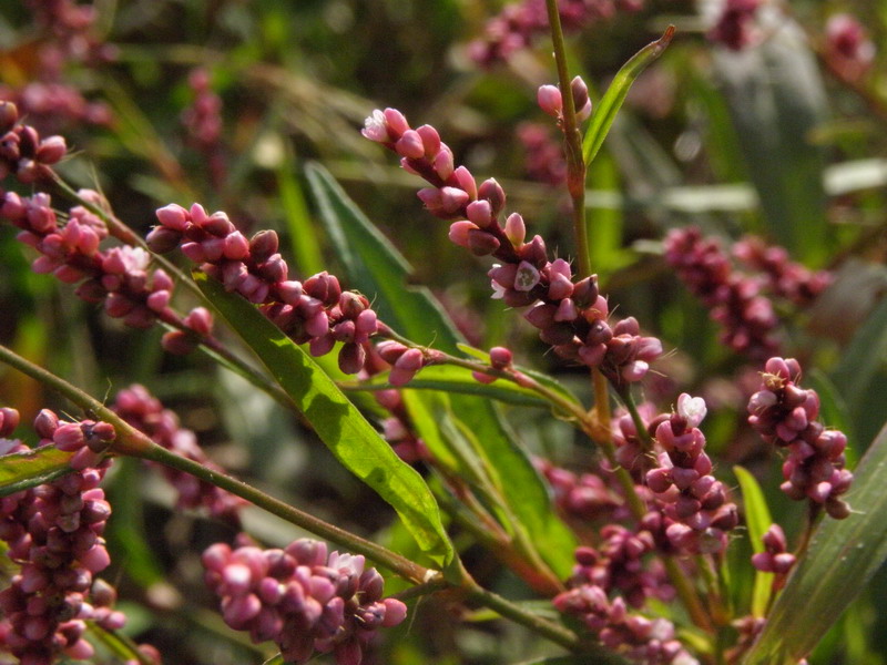 PB142124.jpg