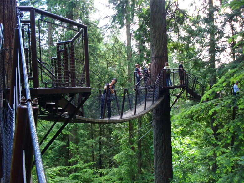 Capilano Suspension Bridge.