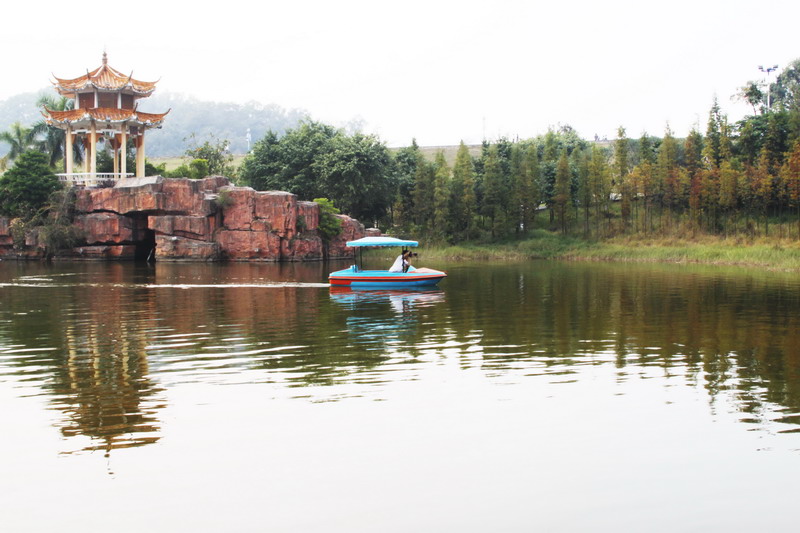 _MG_8036_СС.jpg