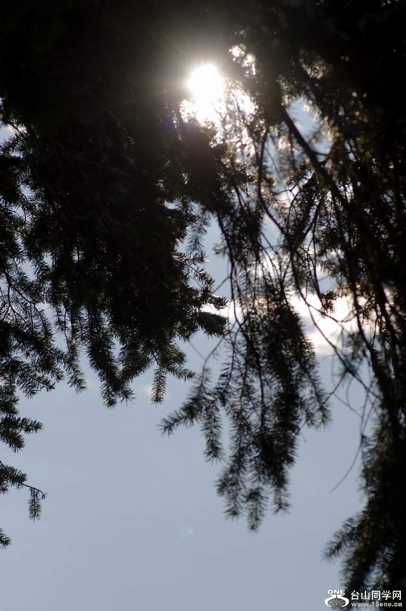 2010 918.jpg