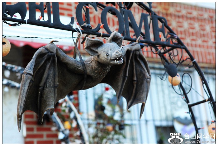 Halloween}