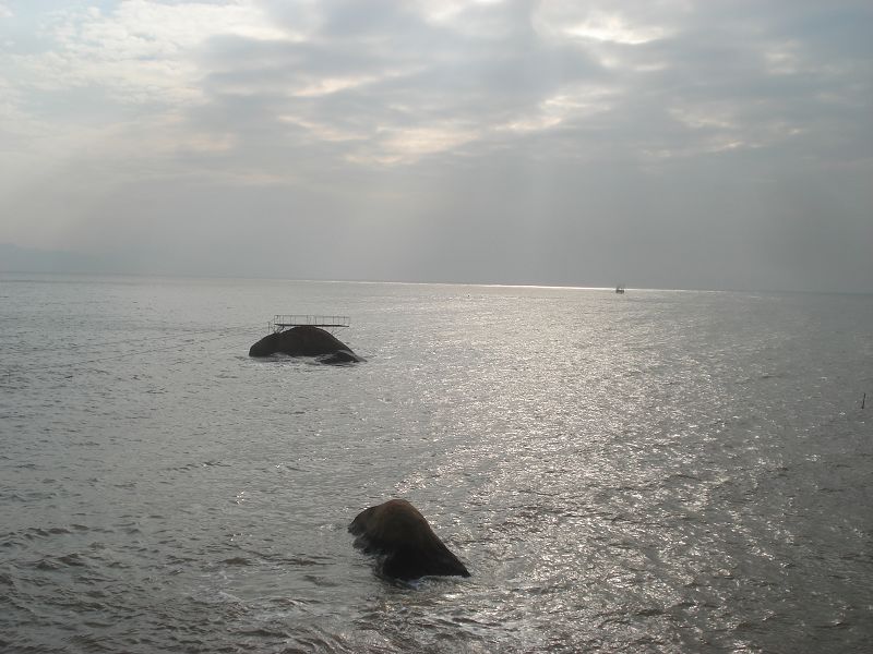 DSC00991.jpg