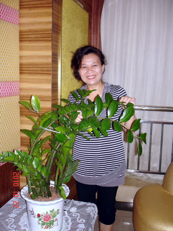 DSC02254.jpg