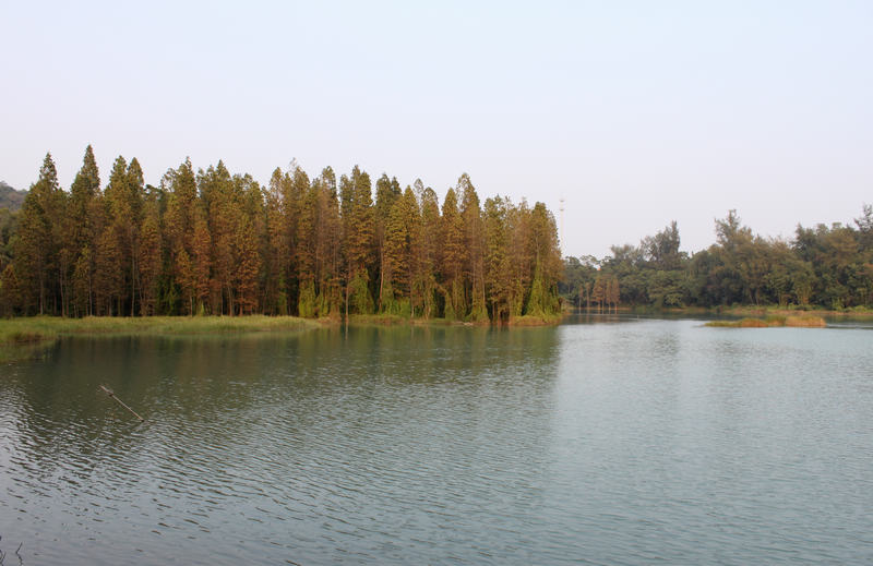 IMG_4186.jpg