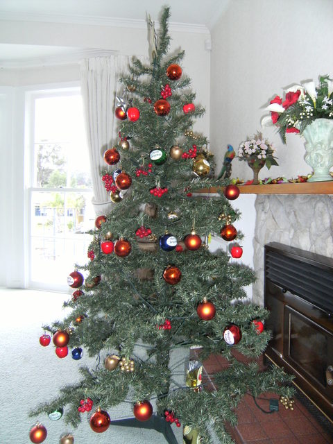 merry christmas and happy new year.jpg