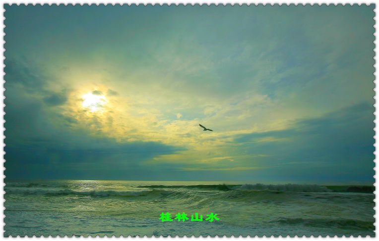 IMG_2520.jpg