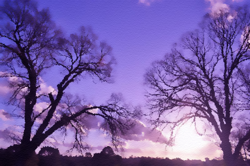 ҵƬˮʻ