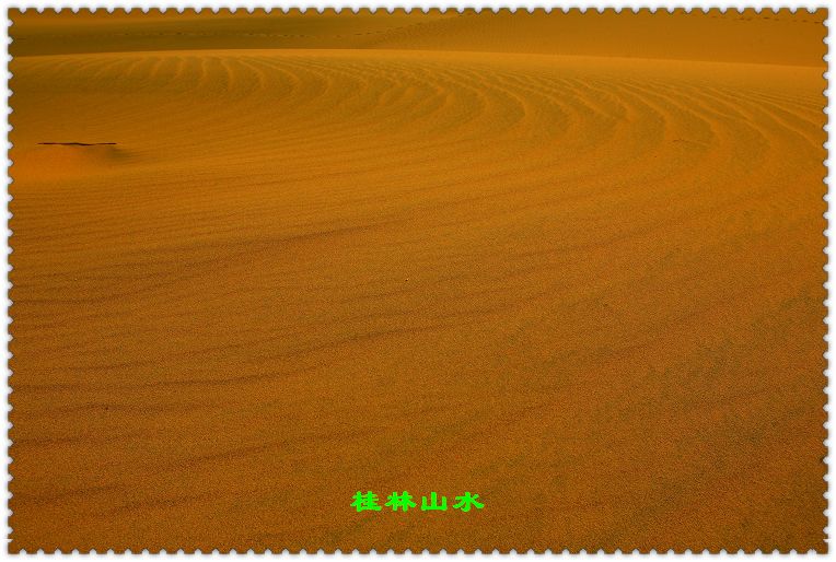 IMG_2487.jpg