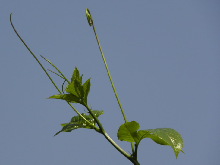 PC183907.jpg