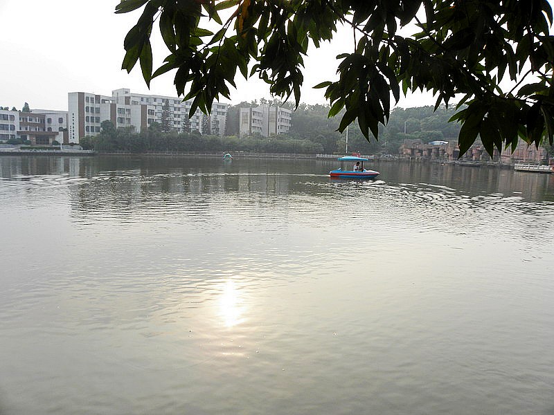 PB282930.jpg