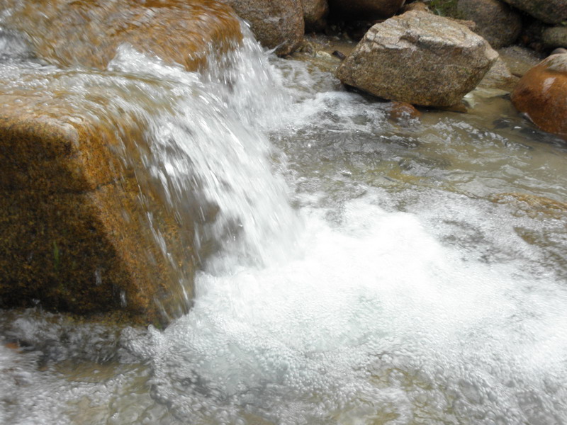 PC053178.jpg