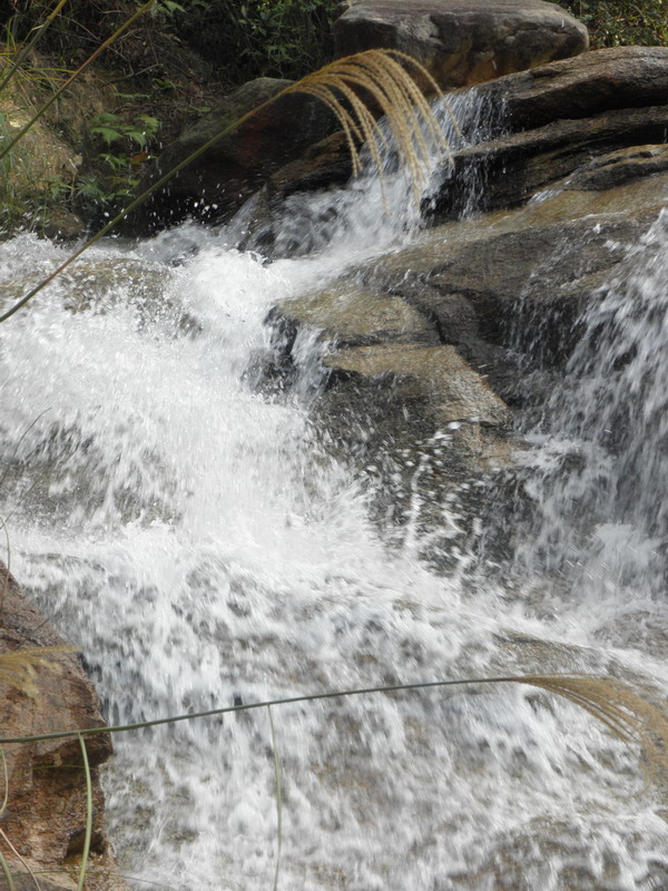 PC053278.jpg