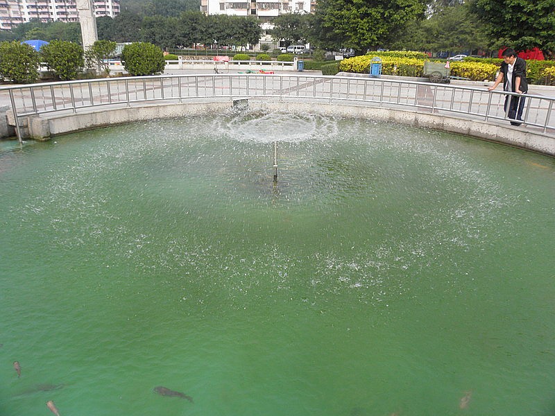 PB282867.jpg