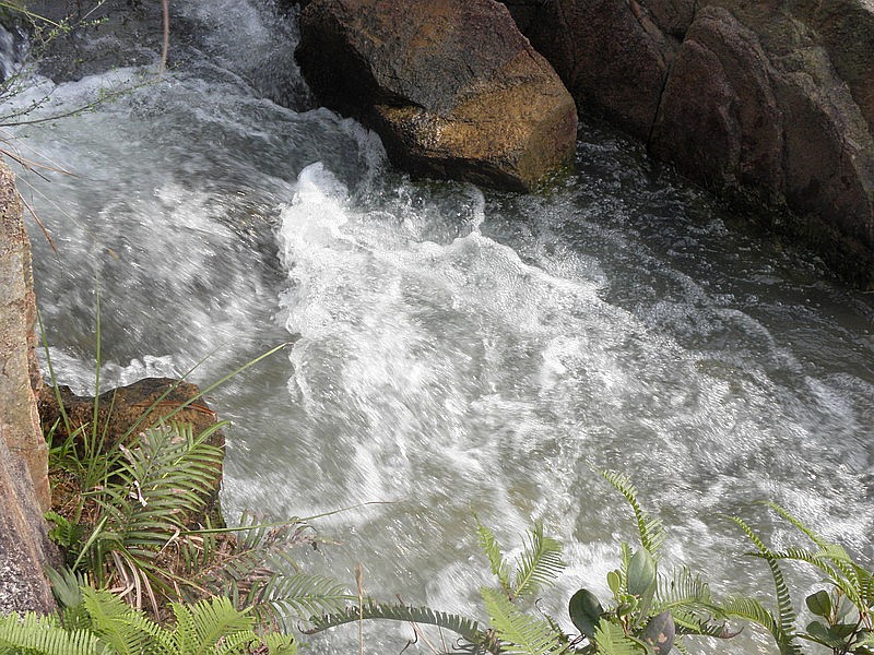 PC053153.jpg