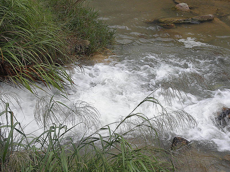 PC053163.jpg