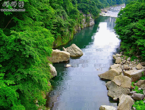 gifa070207.gif