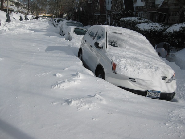 Snow 2010 009.jpg