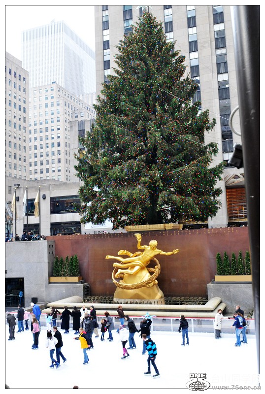 DSC_3126.jpg