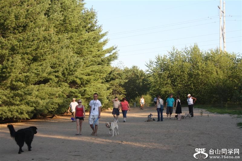 Picture 010 (Medium).jpg