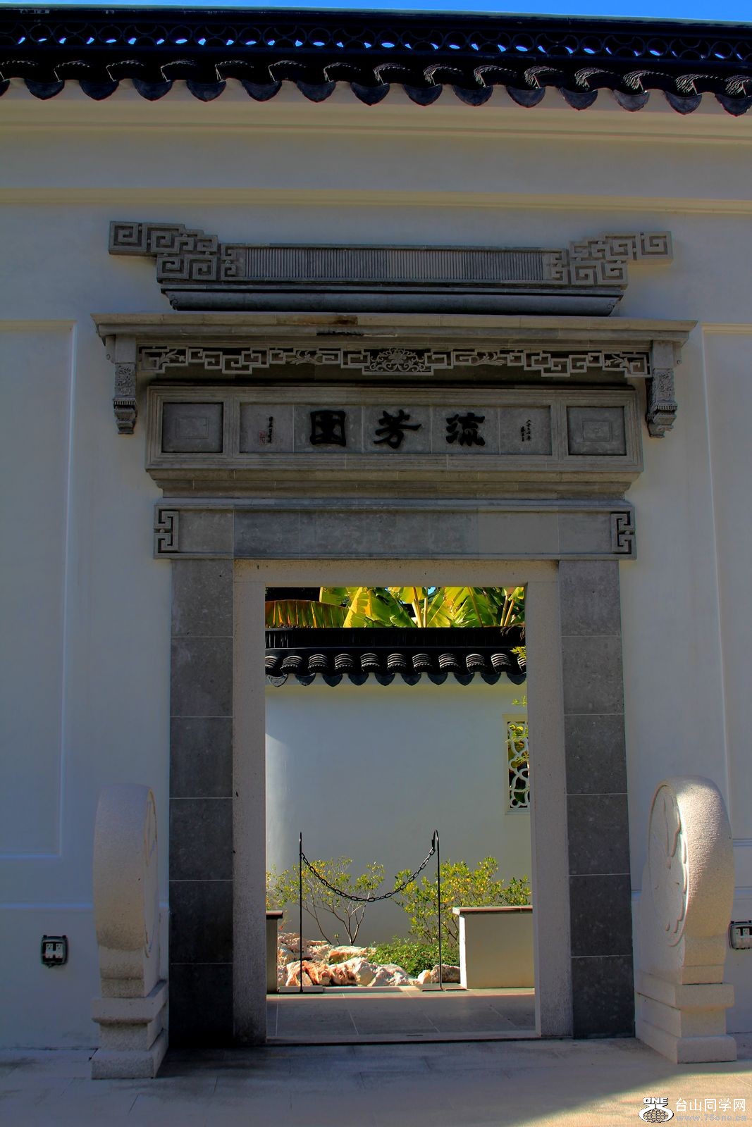 Picture 166.jpg