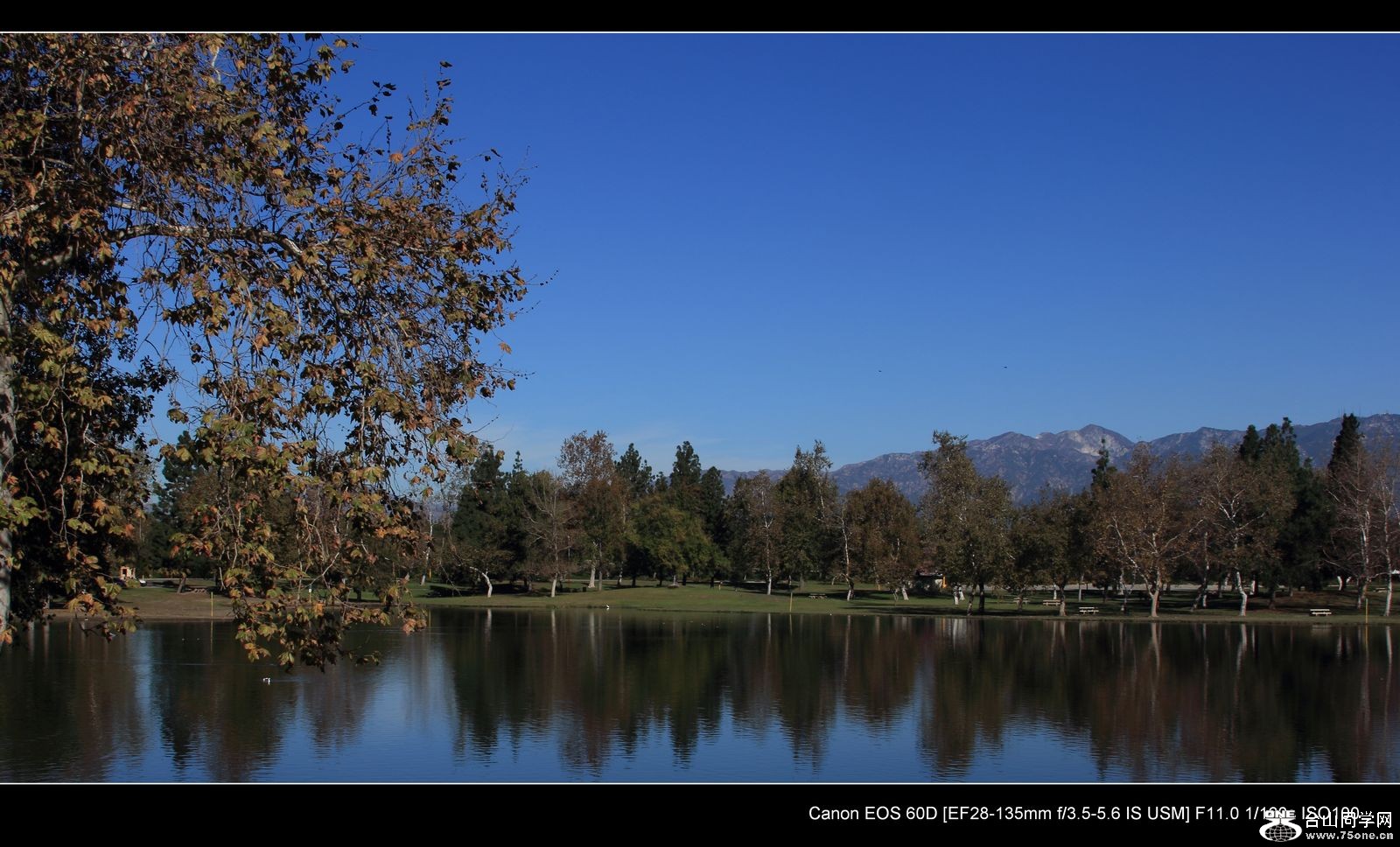 IMG_0197-1-1.jpg