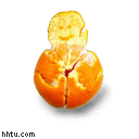 gif30706x.gif