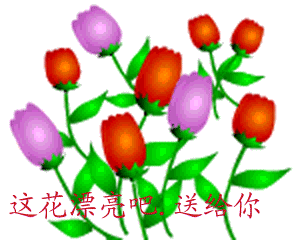 11edd9ffed5g213.gif