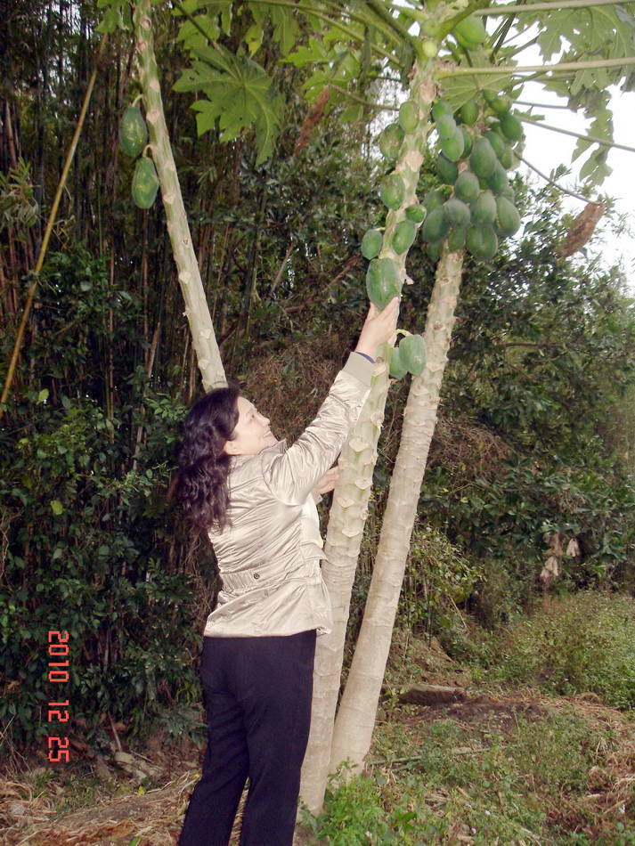 DSC03589.jpg