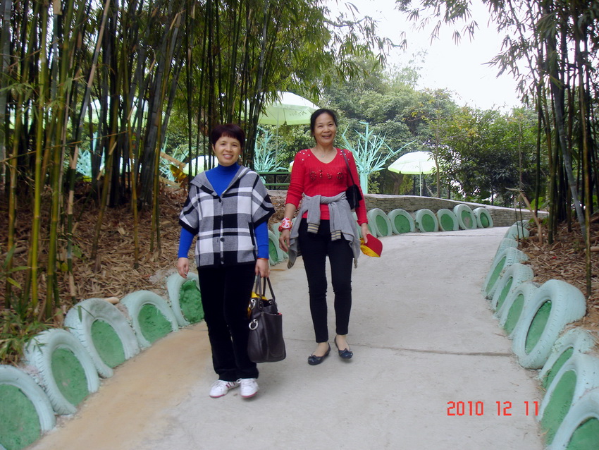 DSC03192.jpg