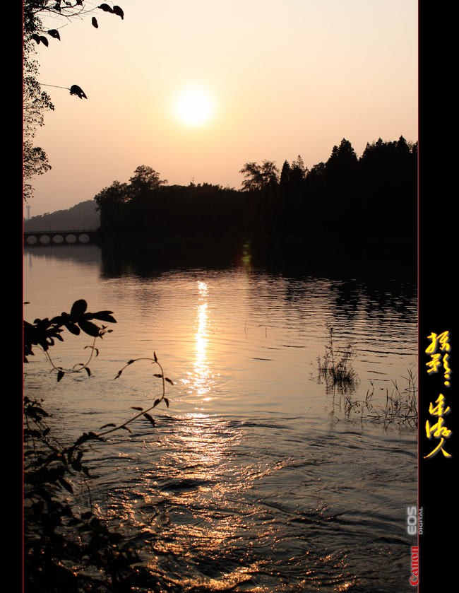 IMG_4301_conew1.jpg