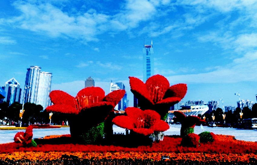 Img277578161_conew1.jpg