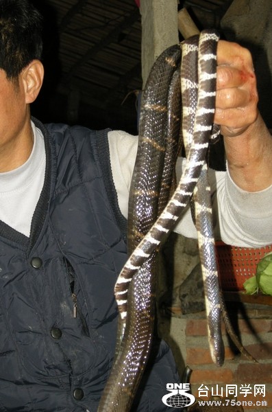 DSCN3424.jpg