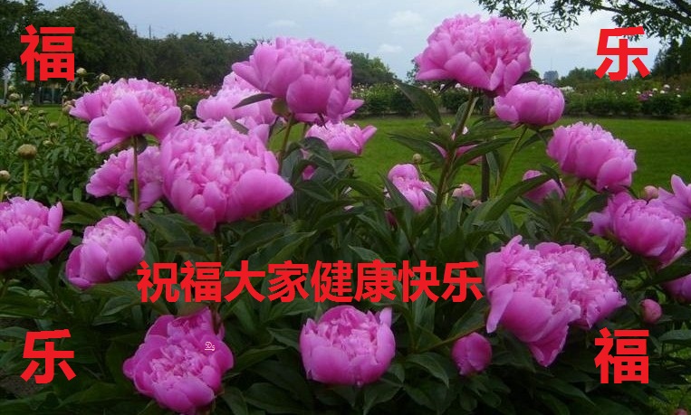 201064133522-copy-Ed.jpg