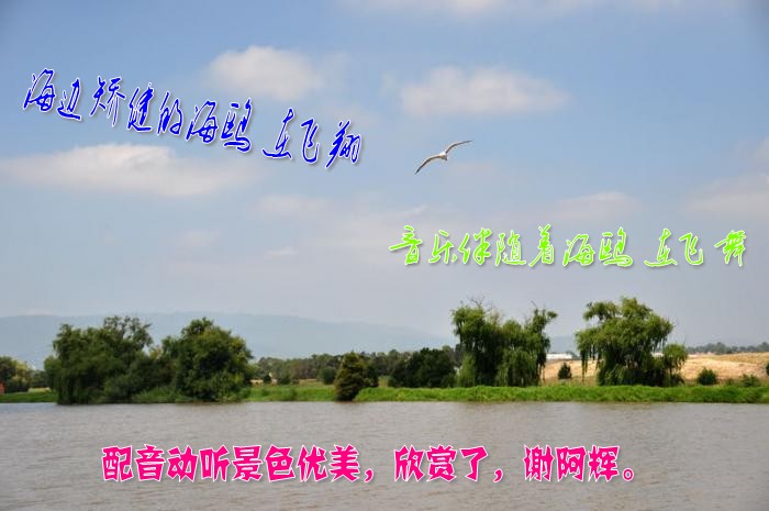 22_8301_ab517133cc929e0_conew1.jpg