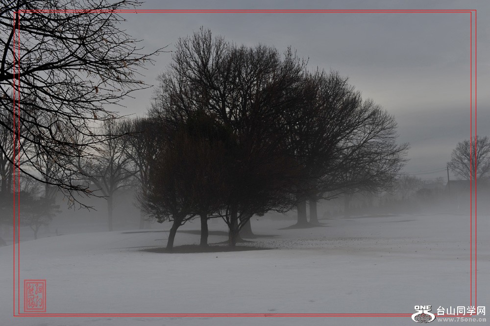 DSC_6615-1.jpg