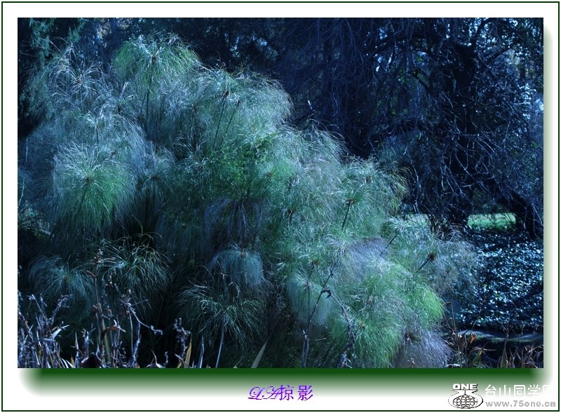 Picture 308-6.jpg