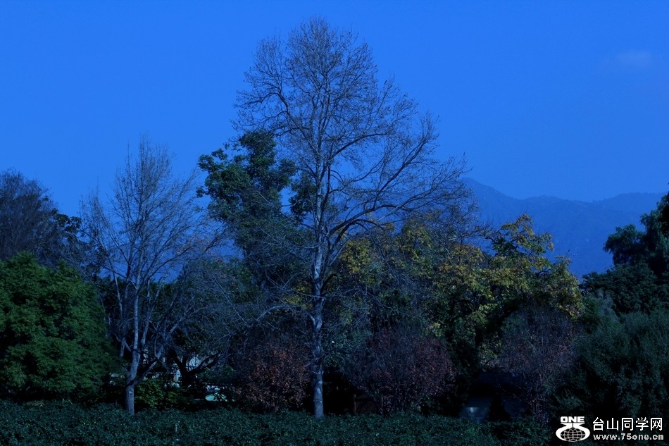 Picture 131-3.jpg