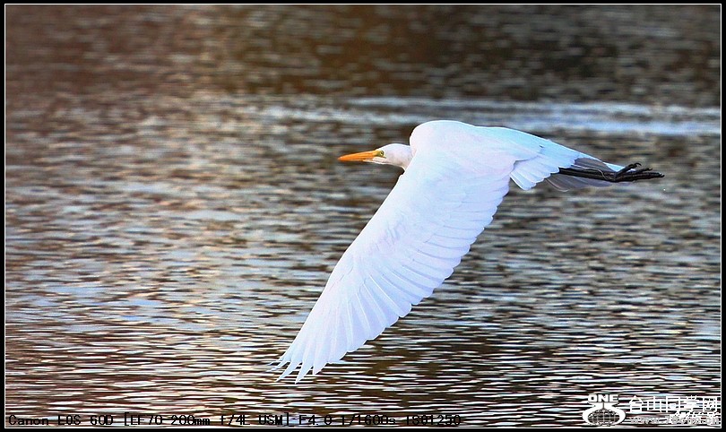 Picture 016-8.jpg