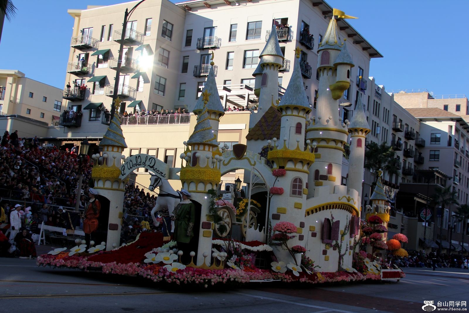 Picture 215.jpg