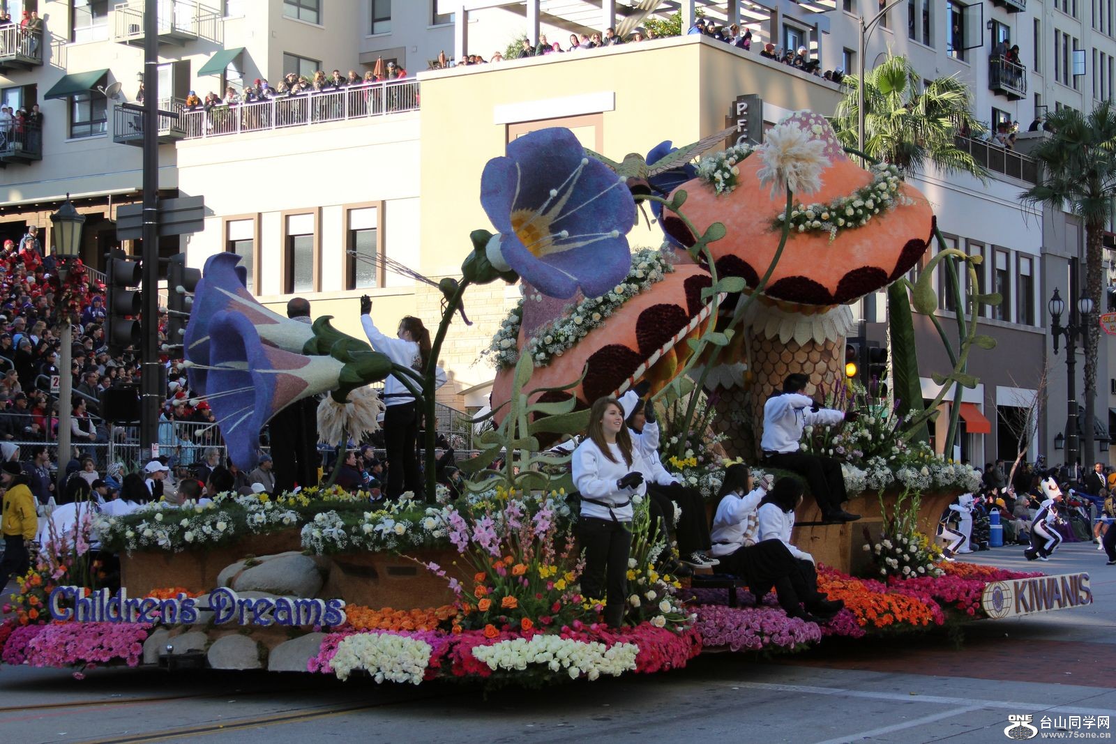 Picture 229.jpg