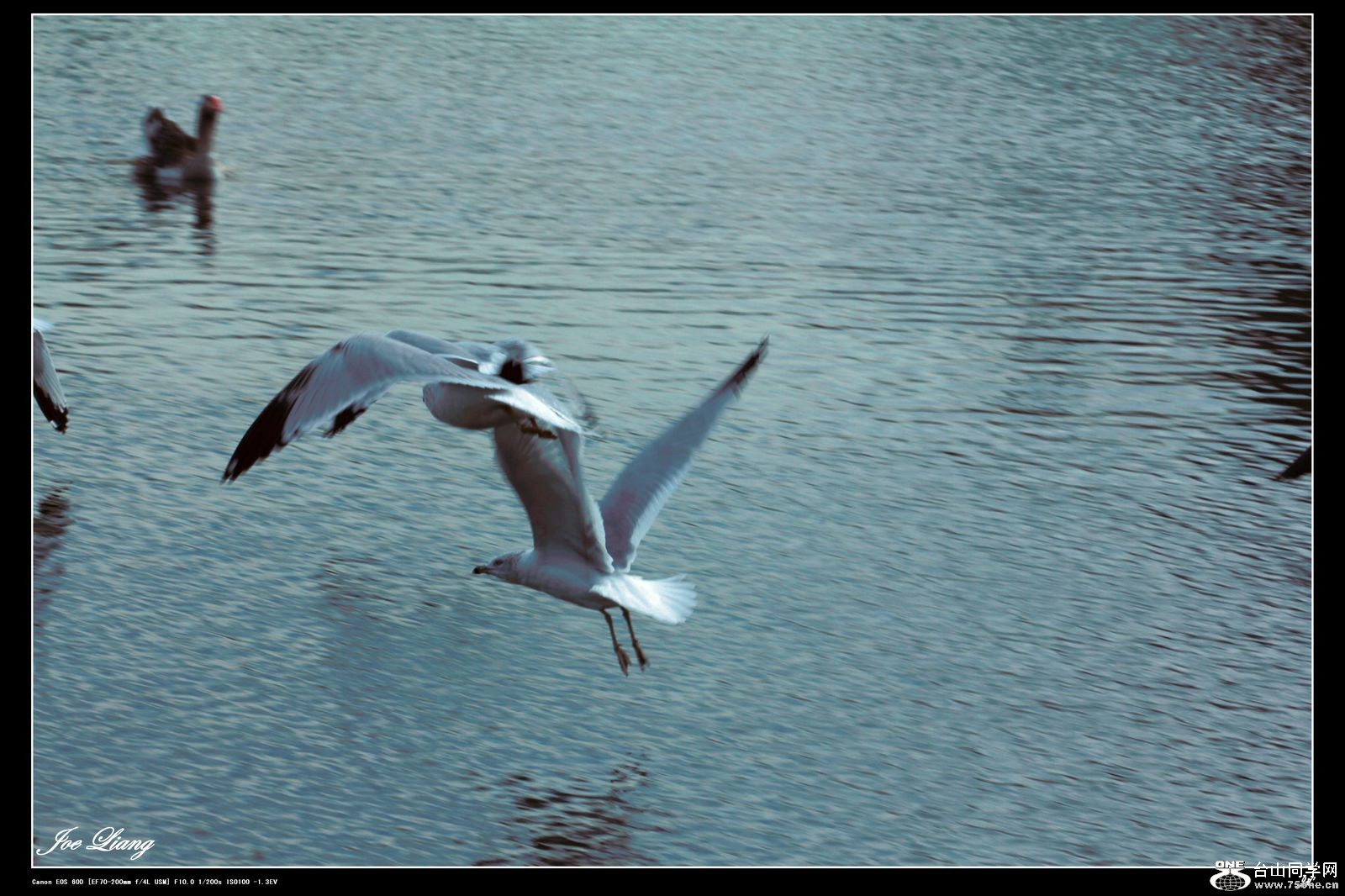 Picture 236-5.jpg