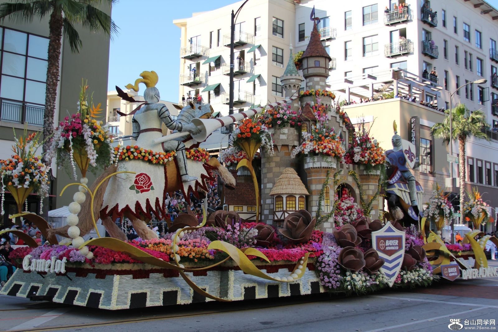 Picture 250-2.jpg