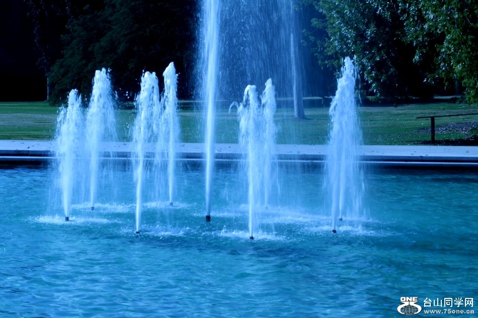 Picture 124-3.jpg