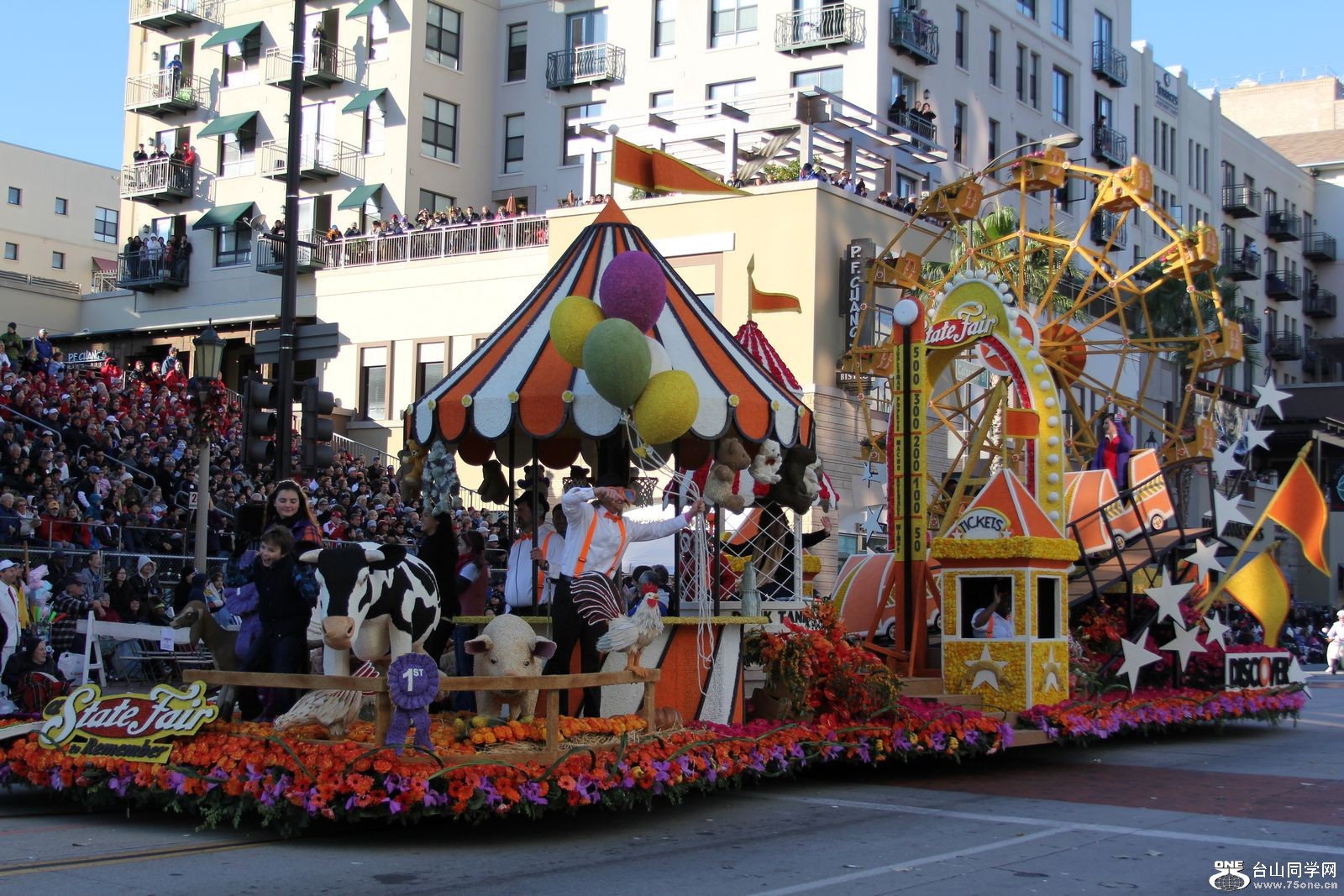 Picture 244.jpg