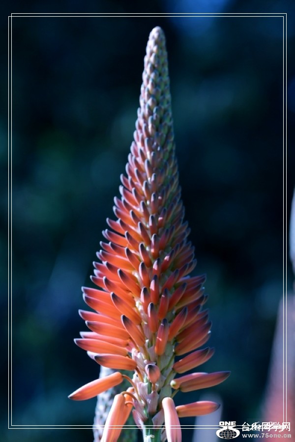 Picture 326-2.jpg