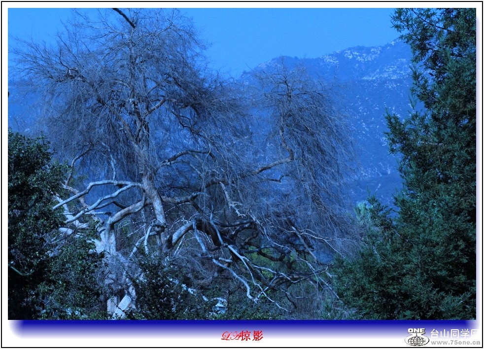 Picture 309-6.jpg