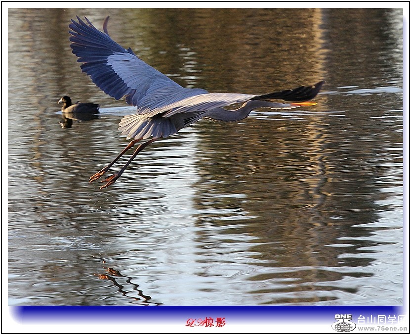 Picture 106-9.jpg