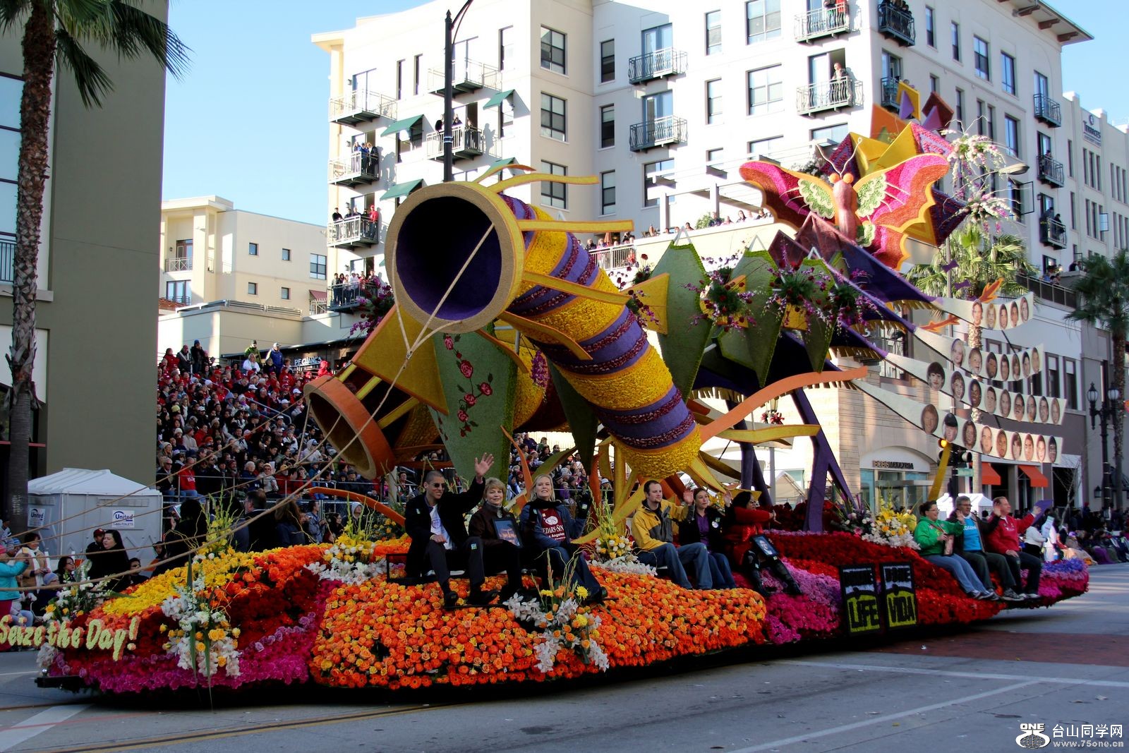 Picture 306.jpg