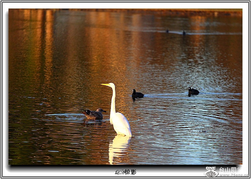 Picture 008-8.jpg