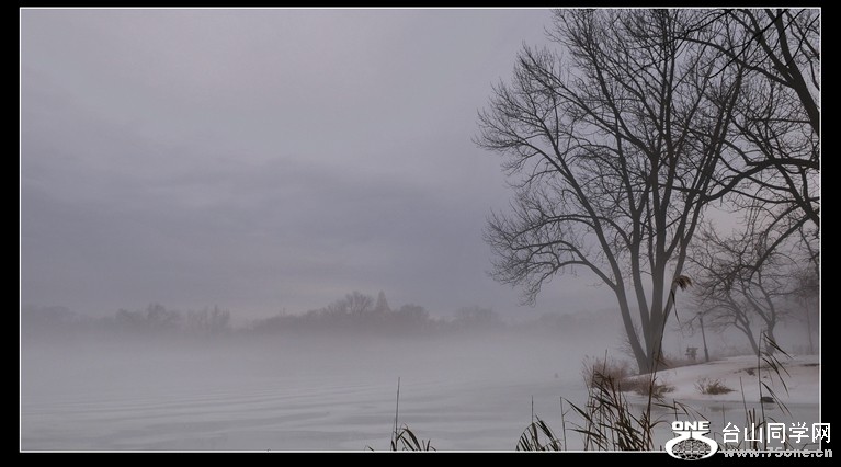 DSC_5031.JPG